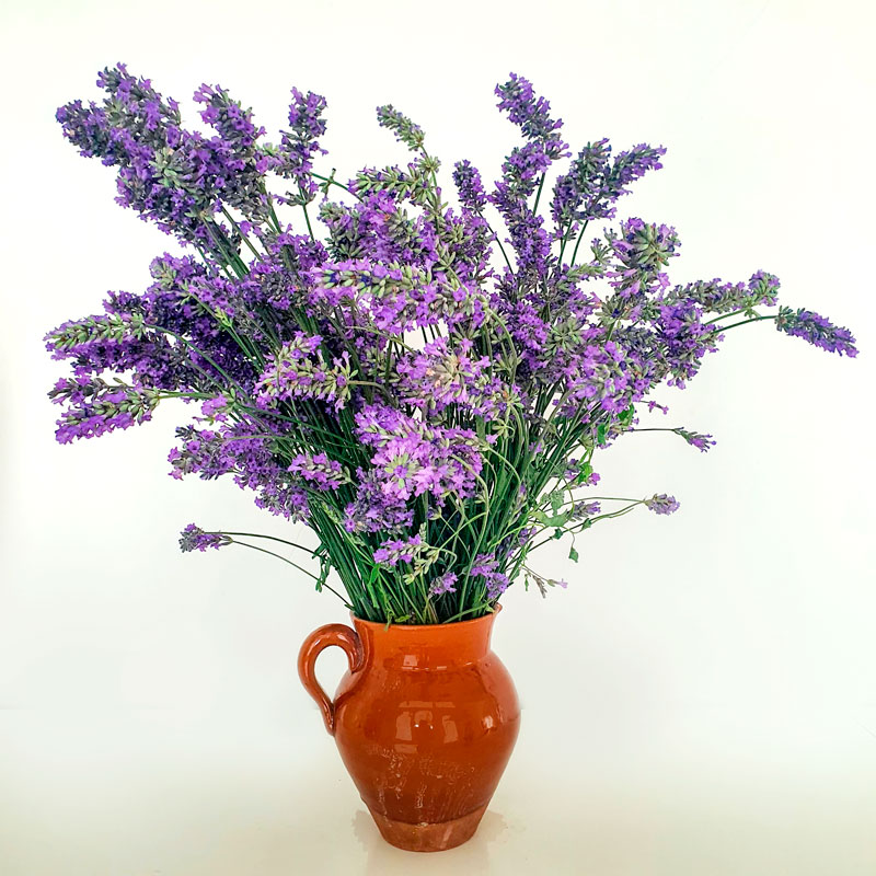 Productos naturales de farmacia - Tienda online